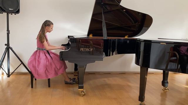 Ф. Шопен Ноктюрн до минор. смотреть онлайн