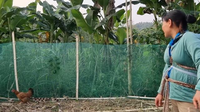 Single Mother: Suddenly My Mother's Second Husband Appeared