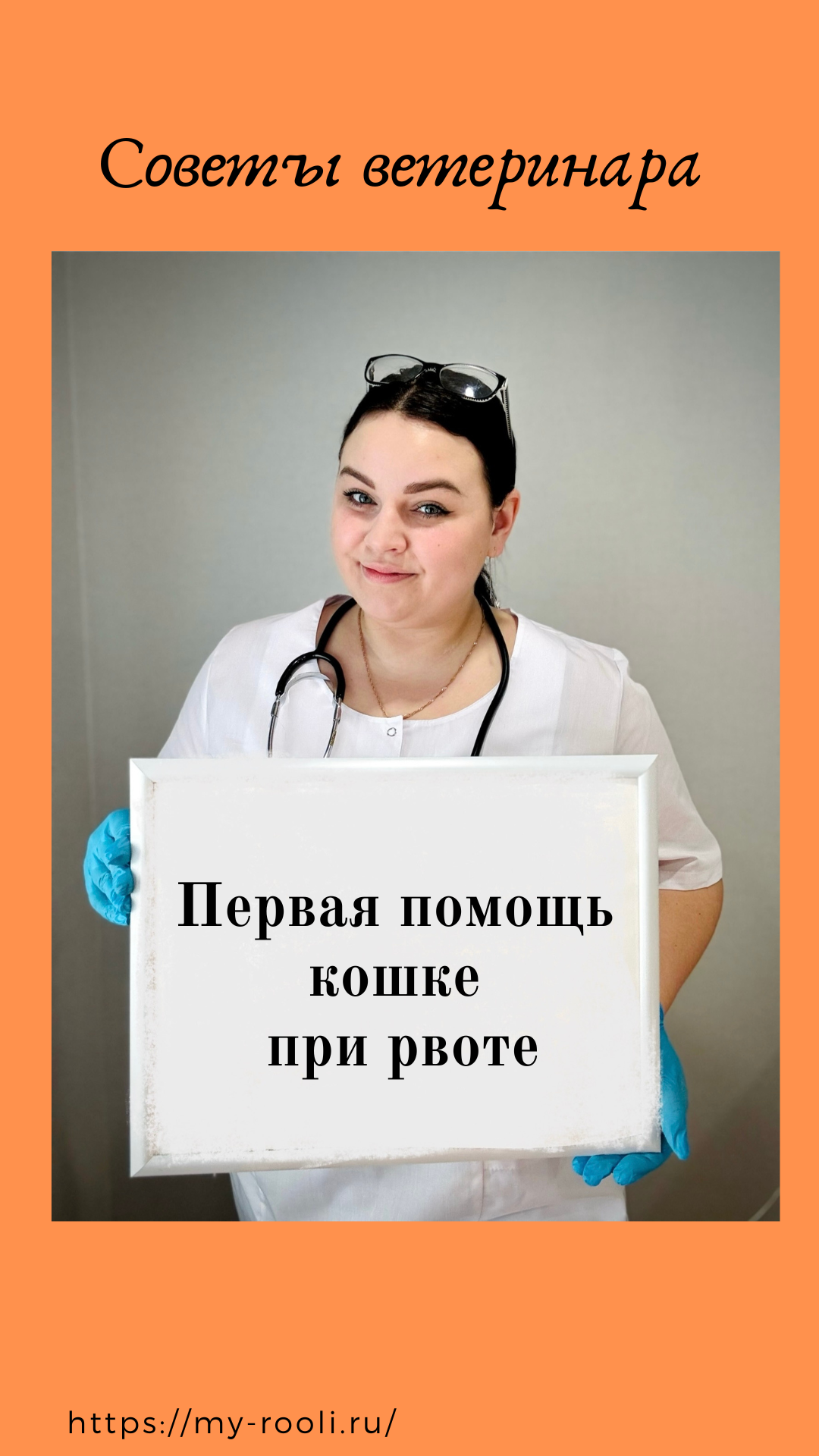 Первая помощь кошке при рвоте. Как вовремя помочь своему питомцу? смотреть онлайн