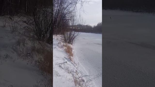 #лес #река #вылазка #зима #зима2022 #зимнийлес смотреть онлайн
