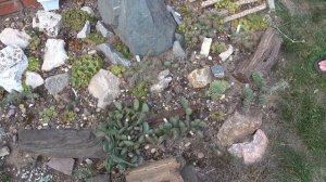 Экскурсия в супер- сад мечты. Потрясающе красивый частный сад