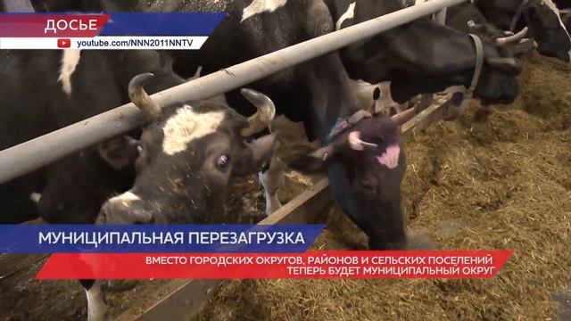 Вместо городских округов, районов и сельских поселений теперь будет муниципальный округ смотреть онлайн
