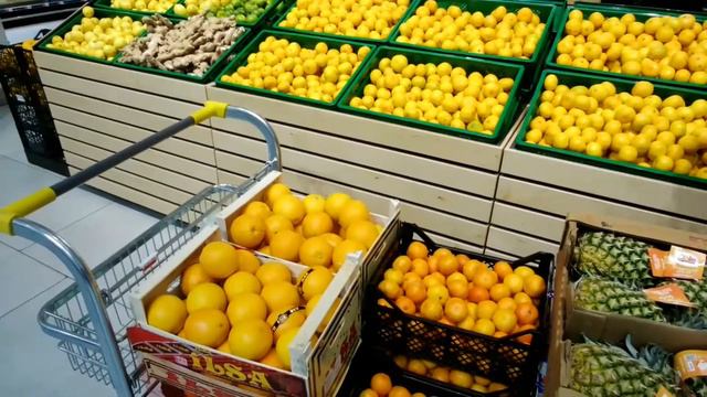Мивина для собаки корги Бантик в супермаркете смотреть онлайн