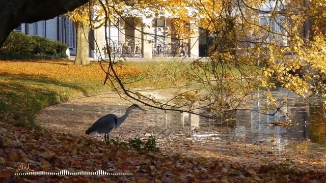 ♫ The Best Of Leo Rojas ♫ Лео Рохас Лучшее ♫ смотреть онлайн