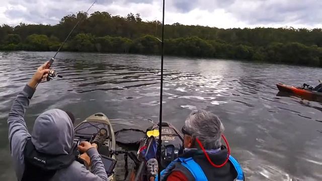 Flathead fishing the Clyde River in kayaks смотреть онлайн