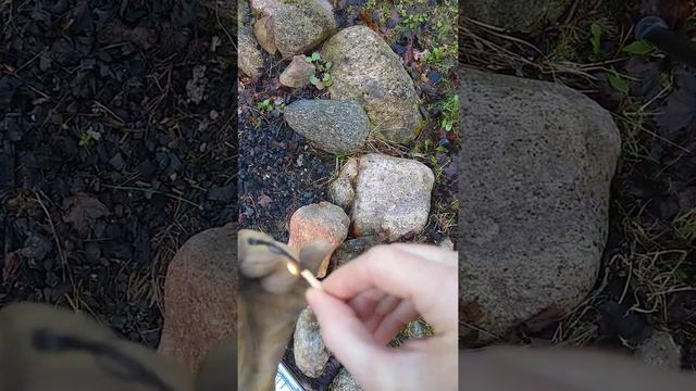 Setting Fungus on Fire: Lighting Daldinia смотреть онлайн
