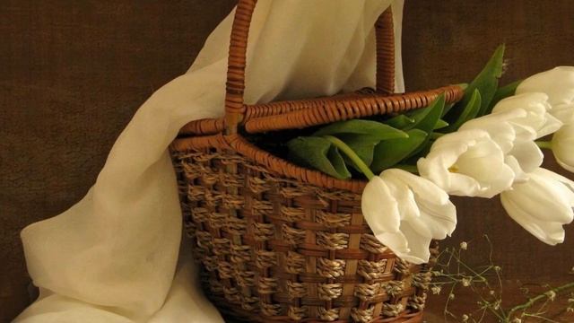 ВИКТОР КОРОЛЕВ БЕЛЫЕ ТЮЛЬПАНЫ. смотреть онлайн