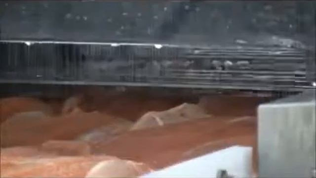 Инъекторы промышленные для рыбы Garos (Швеция) смотреть онлайн