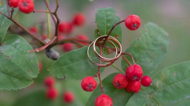 5 месяцев со дня свадьбы смотреть онлайн