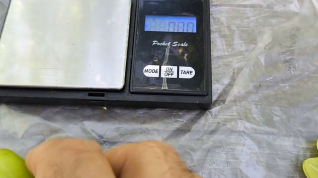 ДАМСКИЙ УГОДНИК виноград селекции Калугина В.М. смотреть онлайн