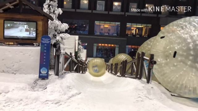 Ski Dubai Best Tourist Location In Dubai