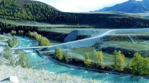 Оздоровление надпочечников  Фрагменты настроя "Активизация эндокринной системы" Для женщин