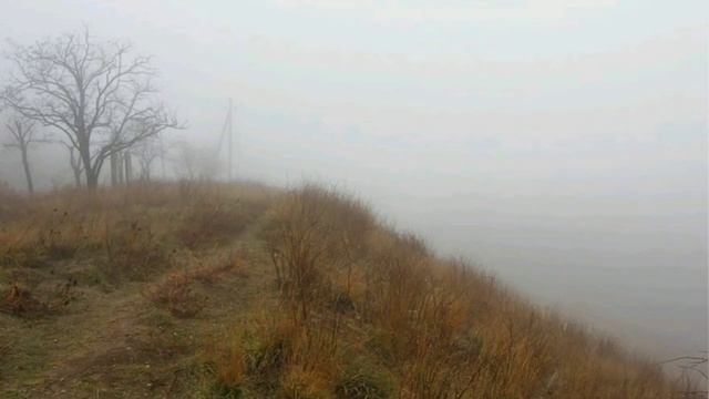 'густой туман' _ авторское произведение для небольшого симф.состава соло гобой смотреть онлайн