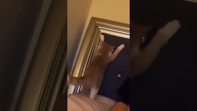 смейтесь смотреть онлайн