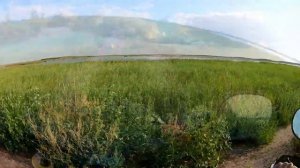 Грязевая покатушка. Квадроцикл Хаммер250 (Hummer 250)