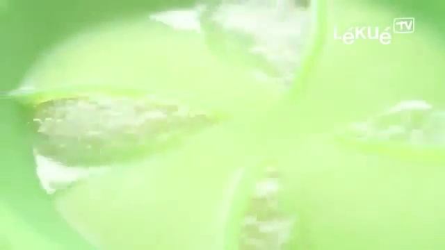 Крышка Стоп Lekue смотреть онлайн