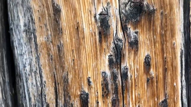 LS 3_3 - CONTRAST IN TEXTURES