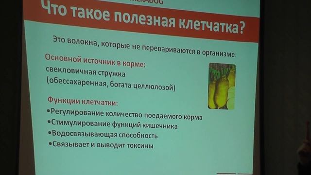 Концепция здорового питания для собак и кошек от компании Мерадог смотреть онлайн