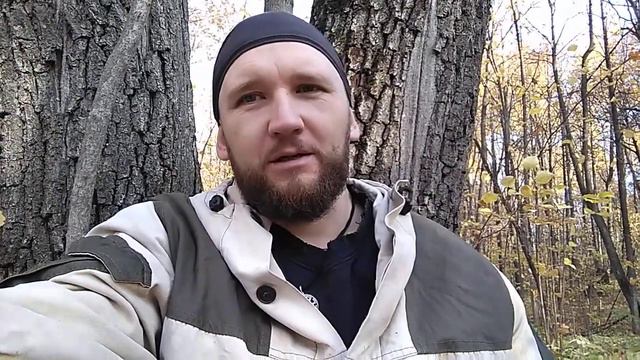 После встречи с волком. смотреть онлайн