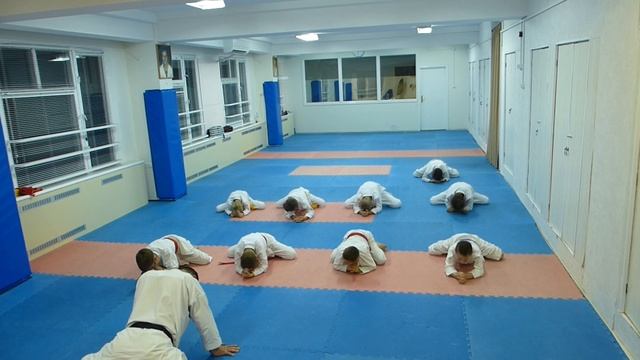 Кизами - гьяку цуки, мае гери из зенкутцу дачи. смотреть онлайн