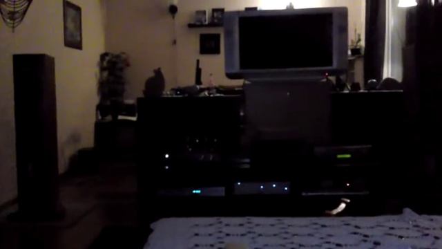 Music Angel XD800MKIII kt88 speakers Triangle Altea EX pre amp Rotel kabel Chord смотреть онлайн