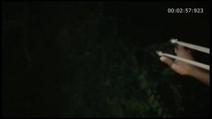 Охота ночью На Птиц с Рогаткой Часть 1#