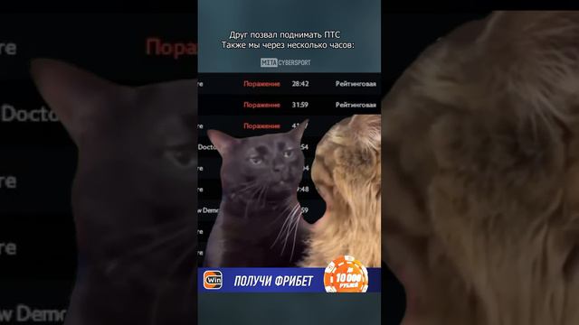 ЛУЗСТРИК с другом смотреть онлайн