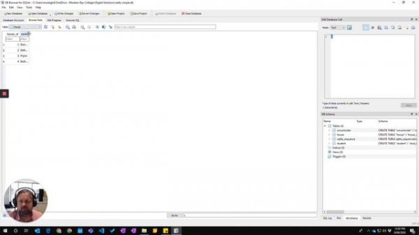 DB Browser (4/4) - Adding data to tables