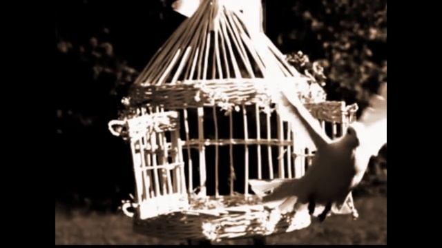 Asha ~ Falling through time смотреть онлайн