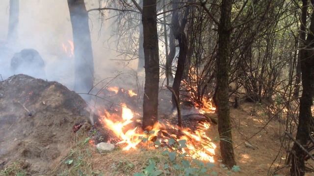 Comenzado apagar parte10 смотреть онлайн