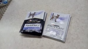 Чем я кормлю кошку?/печень и овощи в рационе кота?/my cat