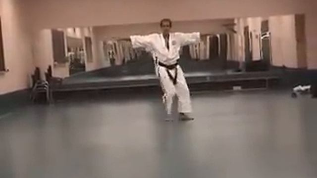 Shorinjiryu Kenkokan Karate kata and Kumite demo смотреть онлайн
