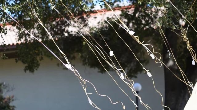 Living in Palo Alto, California | Syben Carree смотреть онлайн