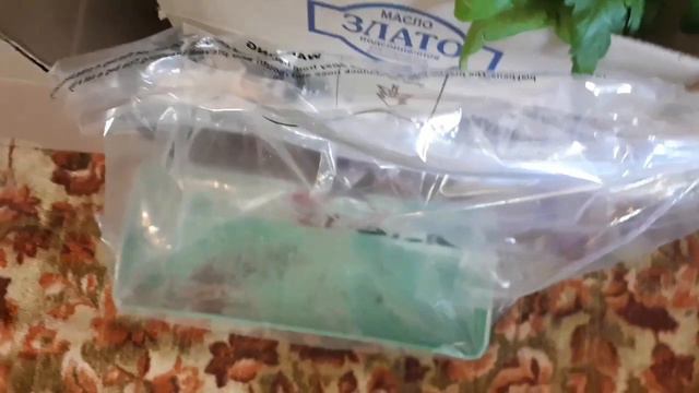 Поехали в теплицу!!!