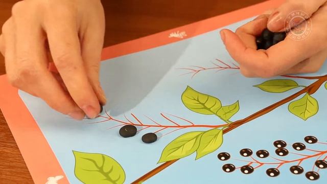 Времена года. Лето 6+ 07 Задание для детей "Ягоды черёмухи" смотреть онлайн