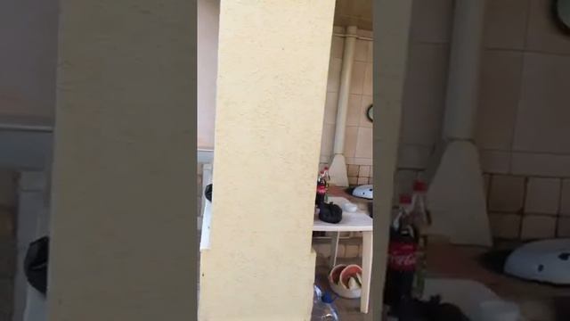 Продам дом в газалкенте 20 км от Ташкента смотреть онлайн