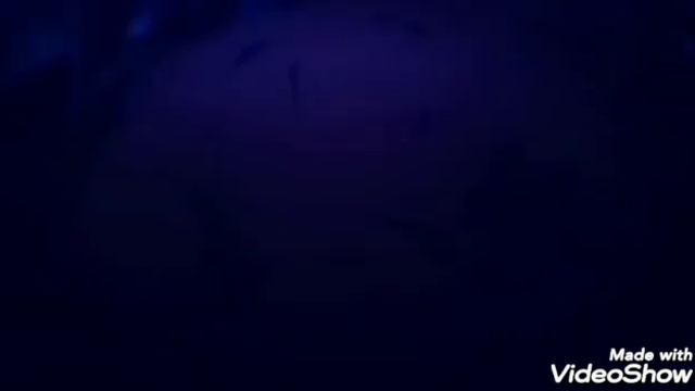 Клип на аниме в подземелье я пойду там красовечу найду смотреть онлайн