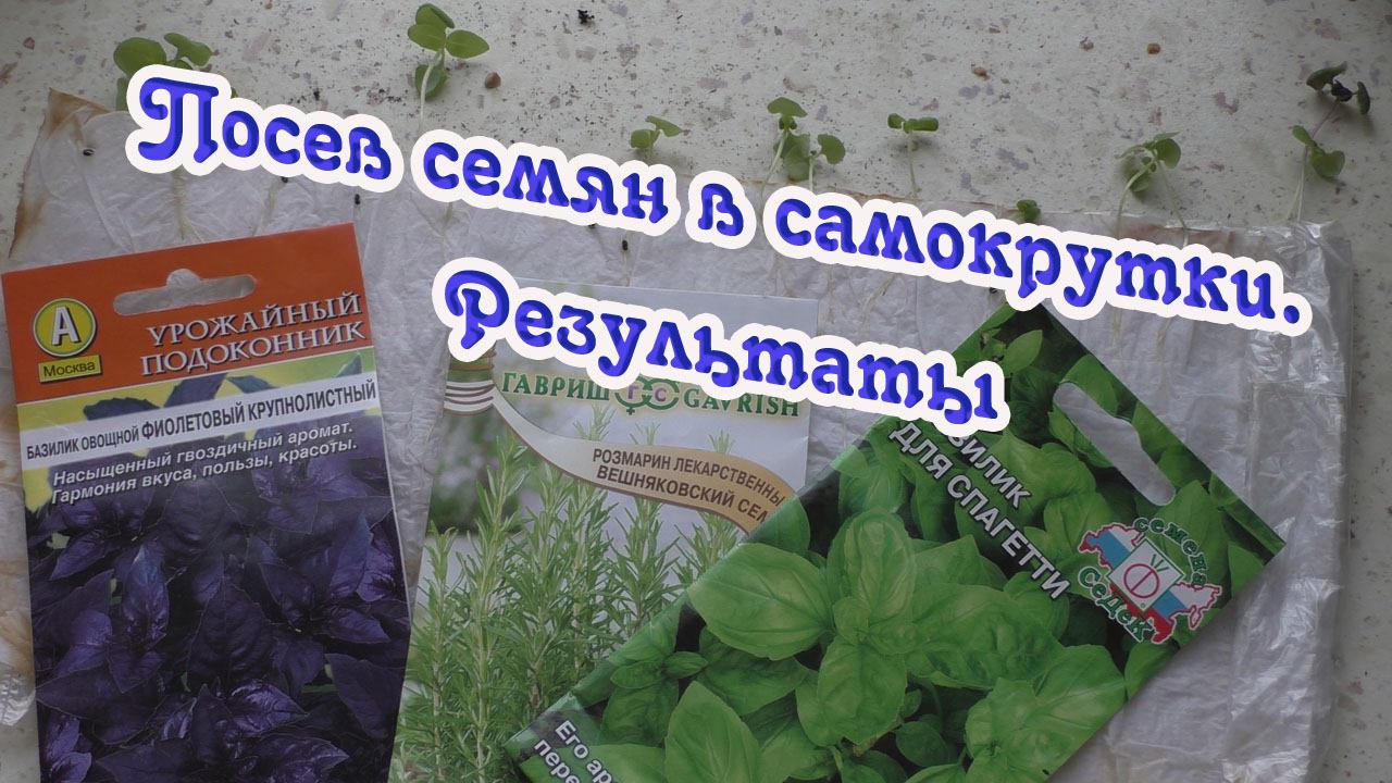 Посев семян в самокрутки