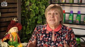 Магнолия ➡ Сажаем на даче ? Вырастет ли в средней полосе?