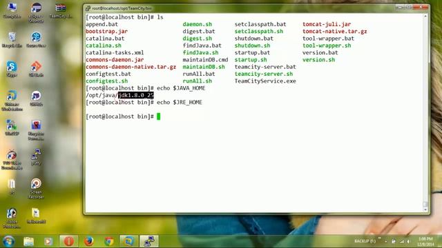 TeamCity Part 01: installing TeamCity in Linux Remote Server смотреть онлайн