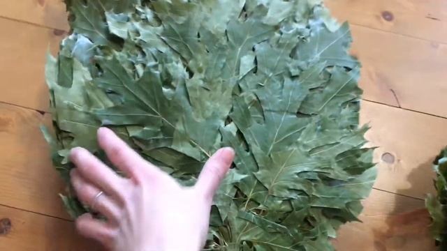 Обзор Канадского дубового веника смотреть онлайн