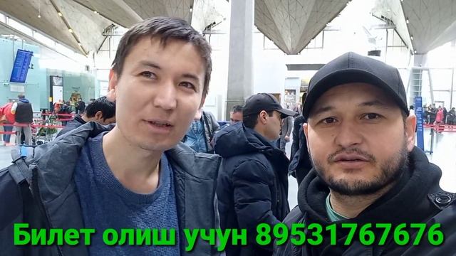 Аэропорт Пулково смотреть онлайн