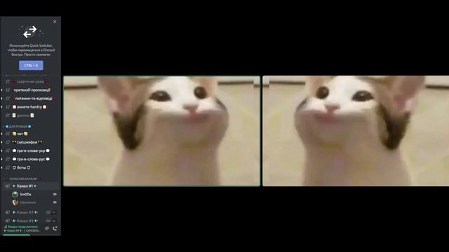 2 Поп кэтов в Дискорде / 2 Pop cats in Discord смотреть онлайн