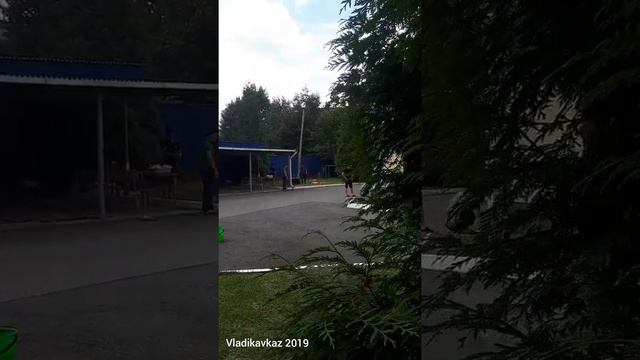 Владикавказ гурбанлык 2019 туркмен талыплары vladikavkaz 2019 gurbanlyk turkmen talyplary смотреть онлайн