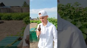 БИТВА ЭКСТРАСЕКСОВ #shorts2024 #пародия #экстрасенс
