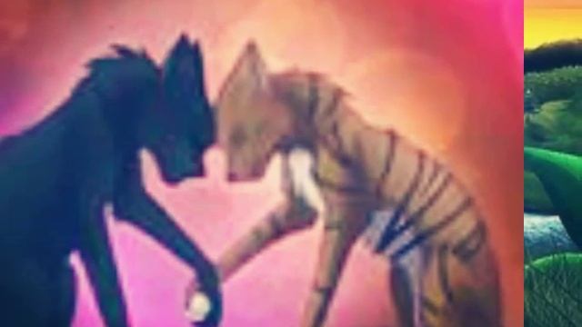 Любовь синей звезды