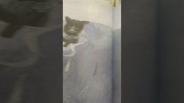 Наталья Шалошвили "Что нужно маленькой кошке" Для детей от 0-3 лет. смотреть онлайн