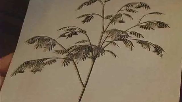 Секреты кузнеца Алексея Вишнева. смотреть онлайн