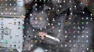 Как скачать Slendrina's Freakish Friends.