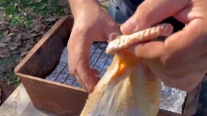 Фазан горячего копчения| Добыл Фазана на охоте и закоптил. Копченый фазан пальчики оближешь